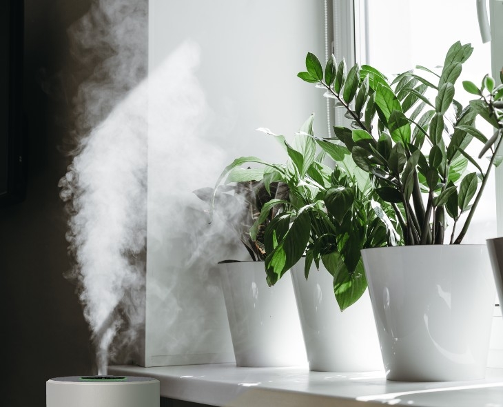 Il vapore dell'umidificatore inumidisce l'aria secca circondata da piante  d'appartamento da interni cura delle piante del giardino di casa