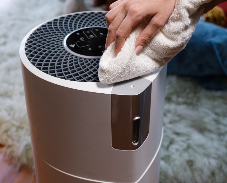 Pulire il purificatore d'aria e l'umidificatore: rimedi per tenere lontane  polvere e allergie