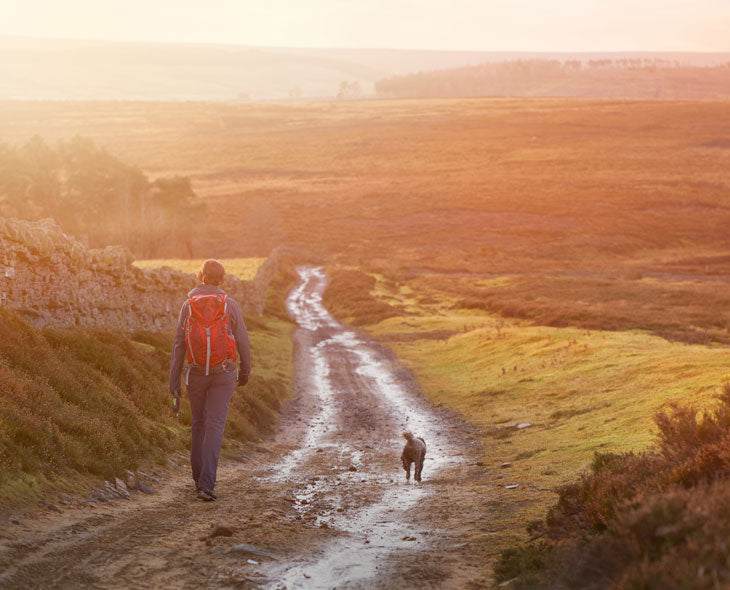 stress management and mindfulness