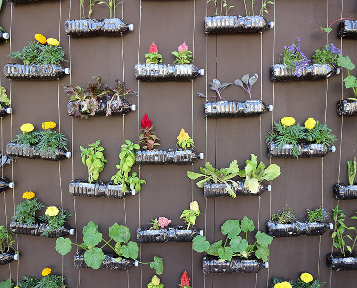 Creative ways to recycle plastic bottles