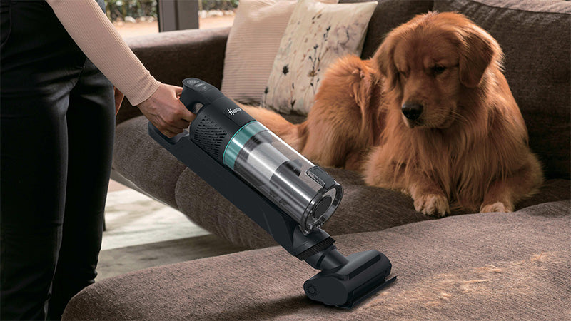 Ideal for pet lovers