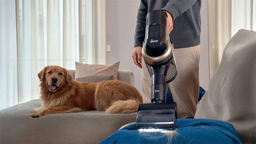 Ideal for pet lovers