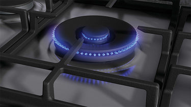 Double crown burner