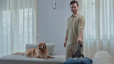 Ideal for Pet Hair removal
