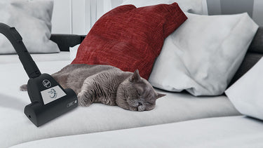 Ideal for pet owners