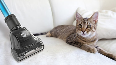 Pets mini turbo brush