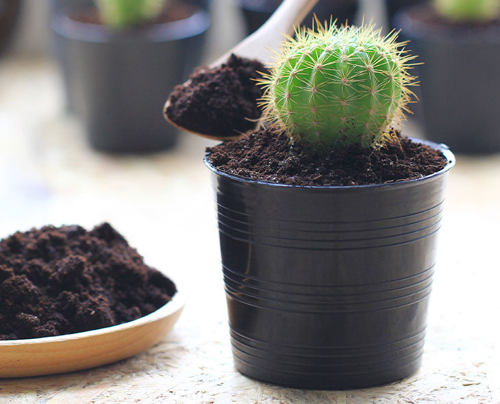 Cómo reutilizar los residuos de café