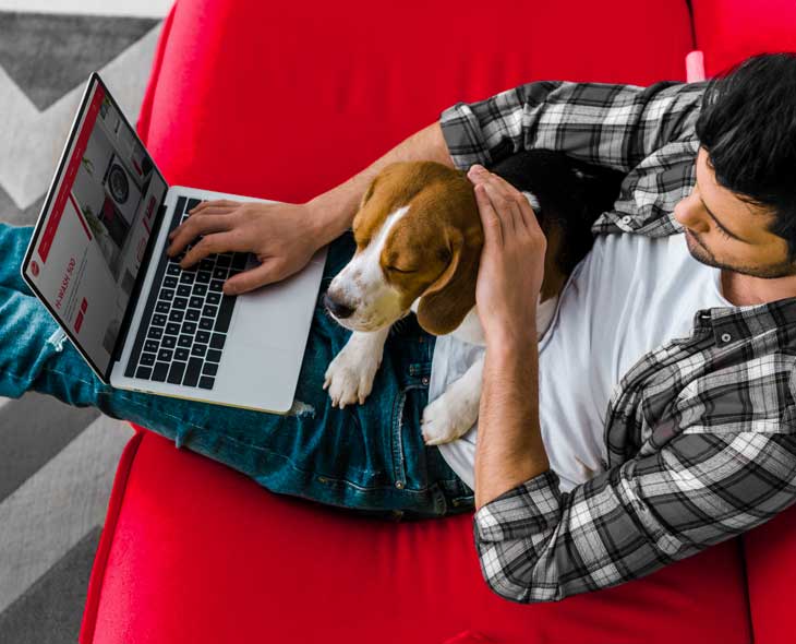 ¿Tienes mascotas? Descubre cómo mantener limpia tu casa.