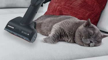 Cepillo Mini Turbo para eliminar el pelo de las mascotas