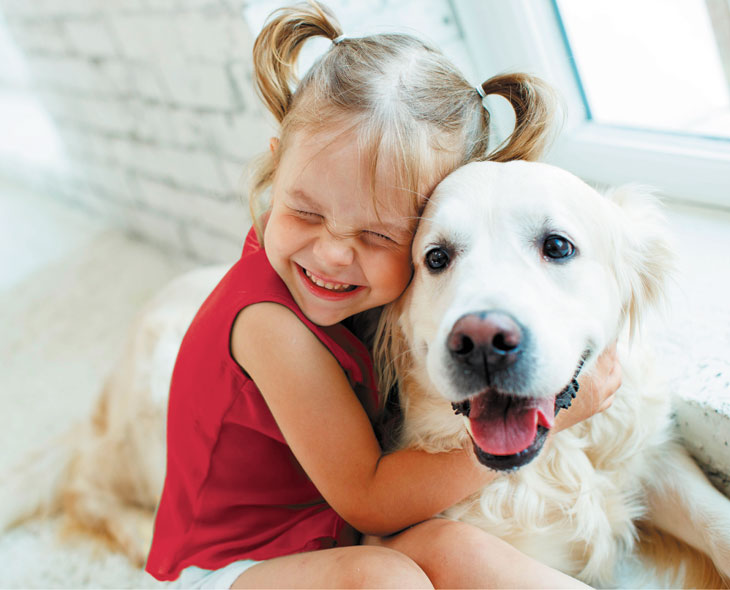 Comment nettoyer la maison des poils d’animaux