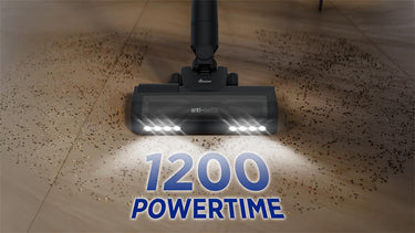 La performance qui dure