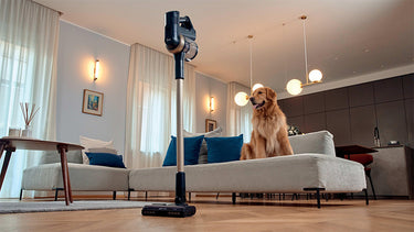 Tient debout tout seul