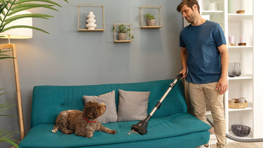 Mini Turbo Pet Hair Remover