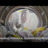 Lessive ECO+ - Video