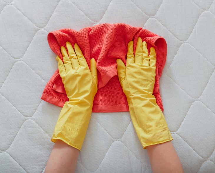 Symptome von Hausstaubmilben? Wie man eine Matratze desinfizier?