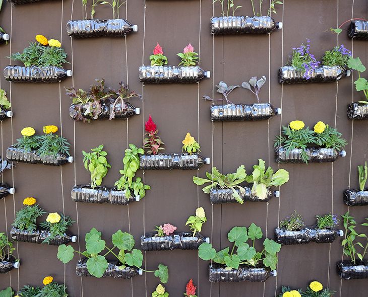 Formas creativas de reciclar las botellas de plástico