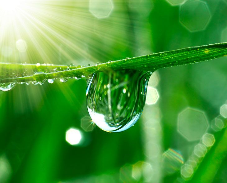 So sparen Sie zu Hause Wasser