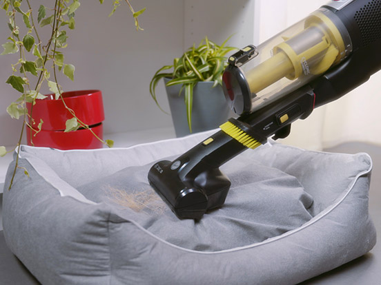 Îndepărtarea părului pentru animale de companie