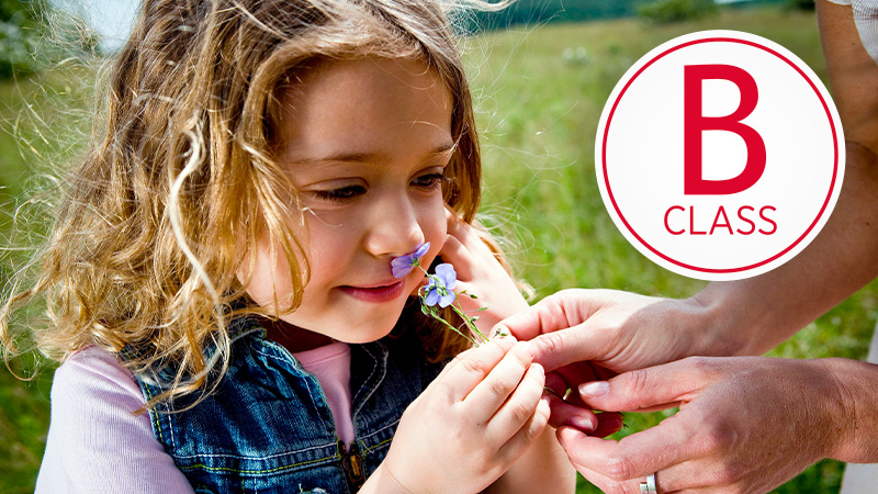 En i̇yi̇ veri̇mli̇li̇k