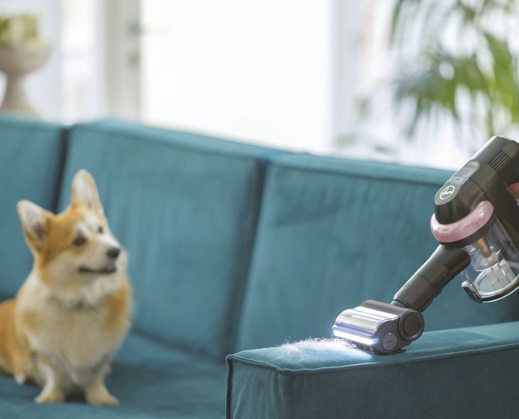 Akku-Staubsauger für Tierhaare