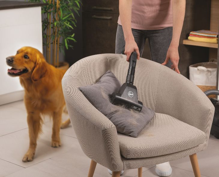 Evcil Hayvan Tüy Temizliği ve Süpürge Seçimi