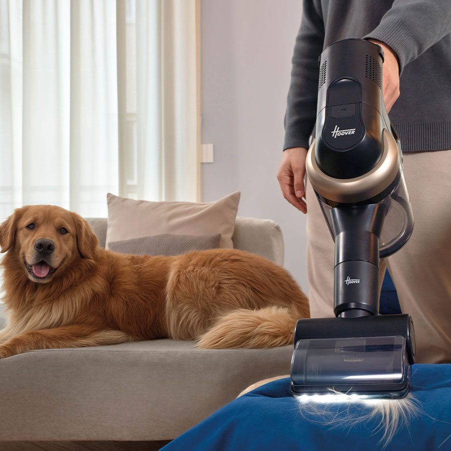 Ideal for pet lovers