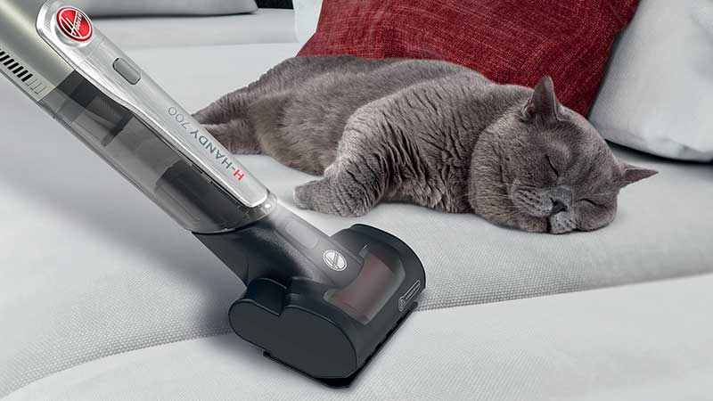 Puikus prietaisas naminių gyvūnų šeimininkams