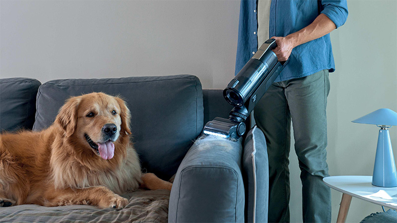 Ideal para amantes de animais de estimação