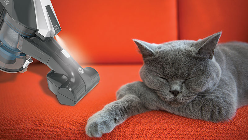 Ideaalne oma kodu täielikuks puhastamiseks ja lemmikloomaomanikele