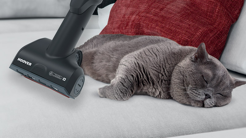 TÖKÉLETES VÁLASZTÁS KISÁLLAT TULAJDONOSOKNAK