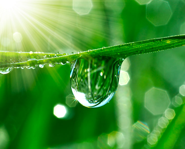 Ridurre al minimo gli sprechi d'acqua