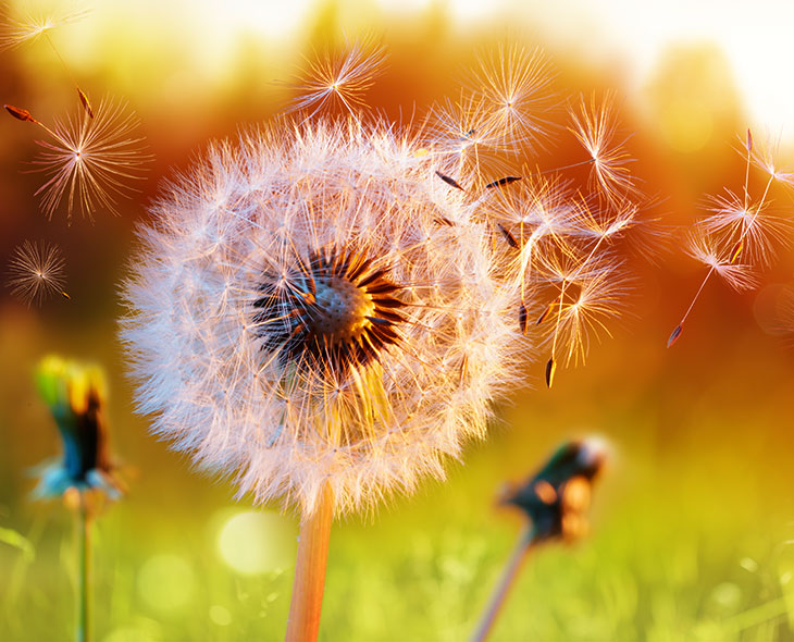 Una guida al bucato che non provoca allergie