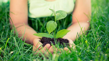 Asciugatrice Eco-Friendly