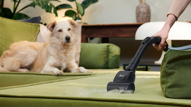 Mini Turbo Brush for Pet Hair